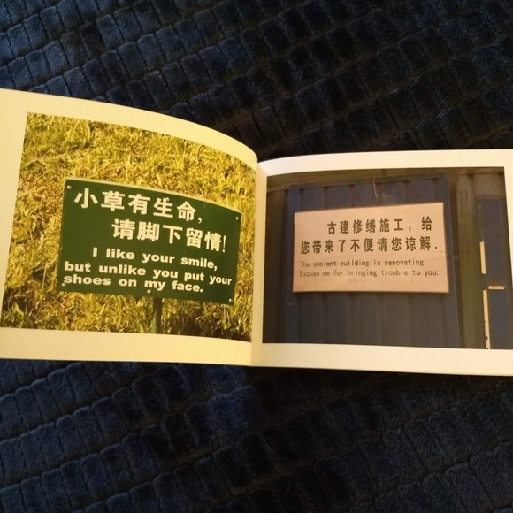 Chinglish photo book of fun english chinese translations NWT - Picture 3 of 4